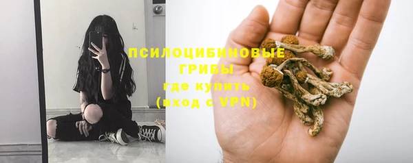 винт Балахна