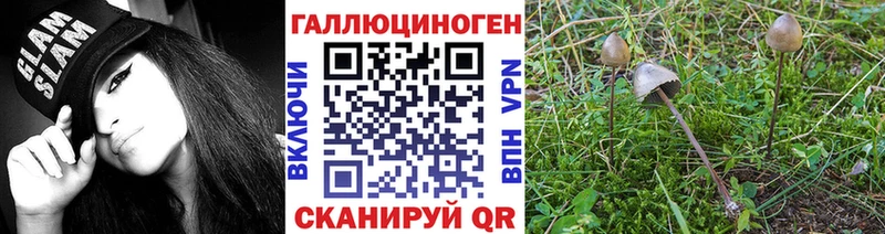 Псилоцибиновые грибы GOLDEN TEACHER Билибино