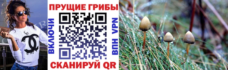 Псилоцибиновые грибы прущие грибы  Билибино 